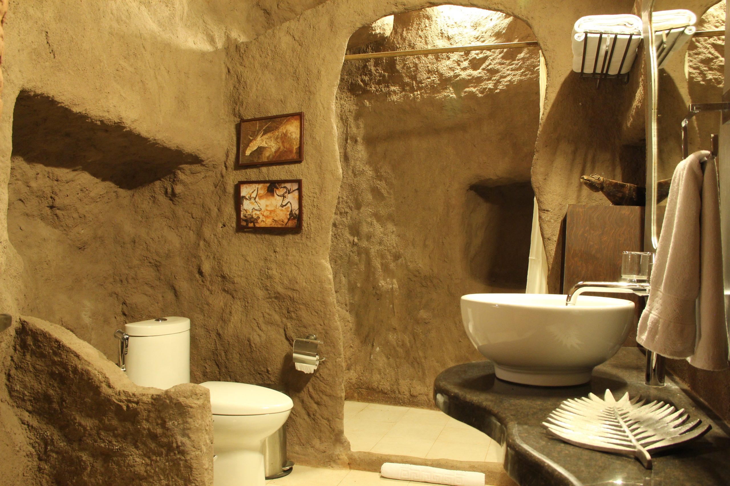 12. Cave Room Toilet