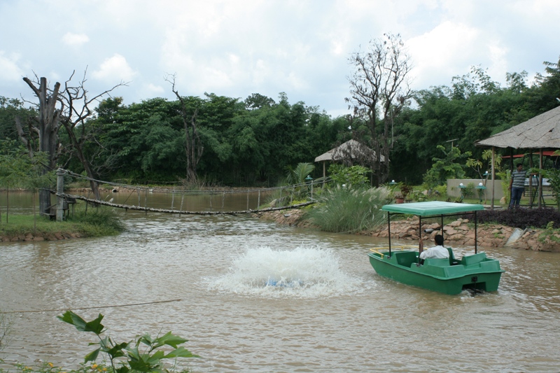 Boating (1)