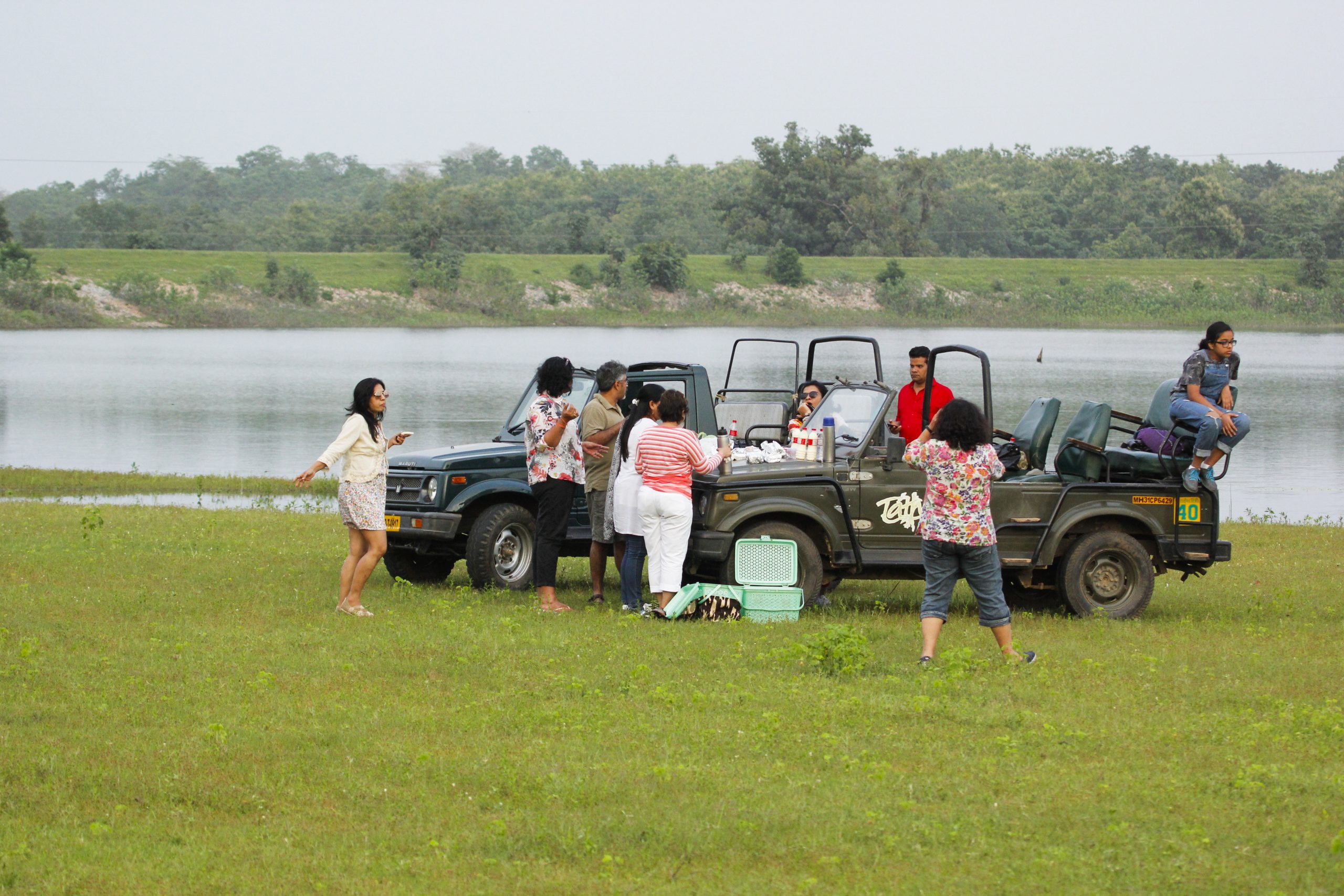 Picnic