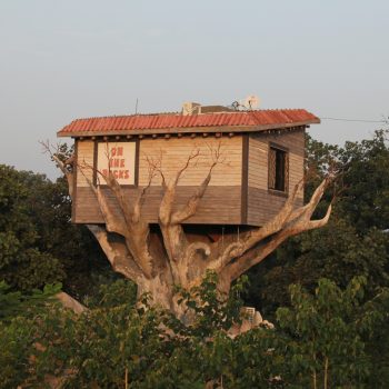 From a Tree House to Cave Rooms to Tents…explore stays of the Jungle Land.