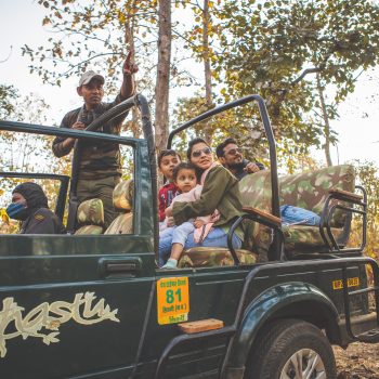 Thrilling Safaris